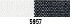 5957s.jpg